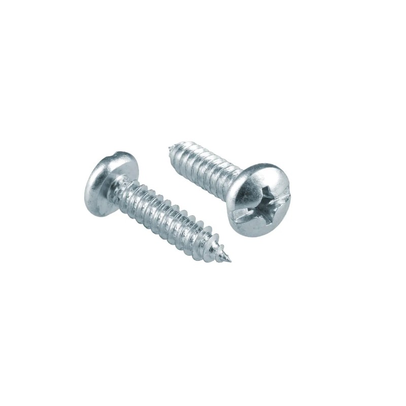 Surtek PL81 Pija cabeza combinada para lámina No.8 x 1" 200 piezas Surtek